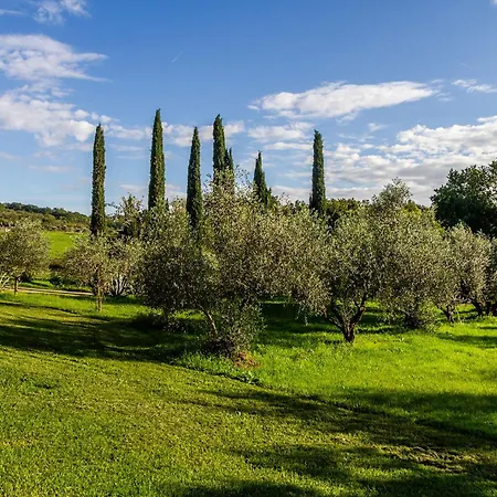Bio Fattoria Casetta בית חווה גאבוראנו